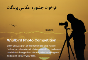 فراخوان جشنواره عکاسی پرندگان