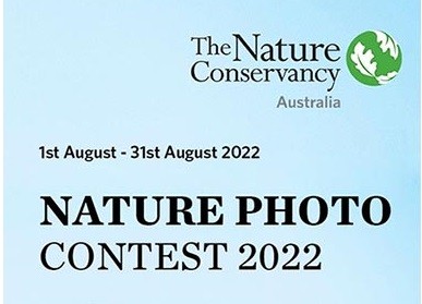 فراخوان-مسابقه-عکاسی-The-Nature-Conservancys-۲۰۲۲
